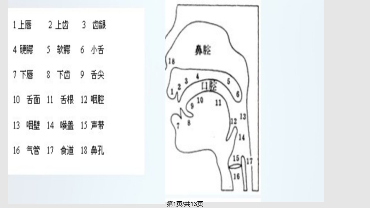 少儿口才PPT课件