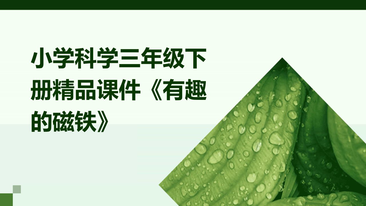 小学科学三年级下册课件《有趣的磁铁