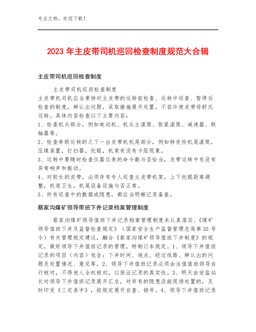 2023年主皮带司机巡回检查制度规范大合辑