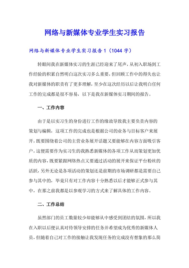 网络与新媒体专业学生实习报告