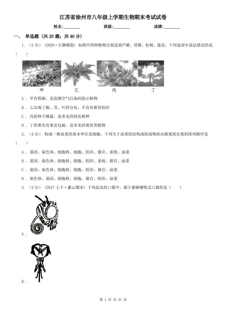 江苏省徐州市八年级上学期生物期末考试试卷