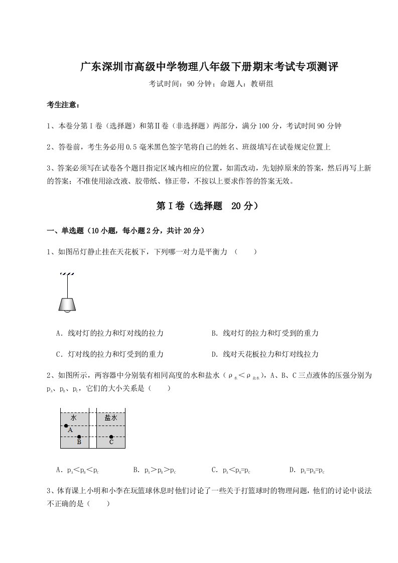 2023-2024学年广东深圳市高级中学物理八年级下册期末考试专项测评练习题（解析版）