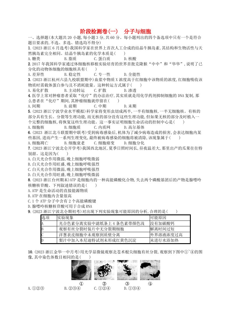 2024高考生物基础知识复习阶段检测卷1分子与细胞