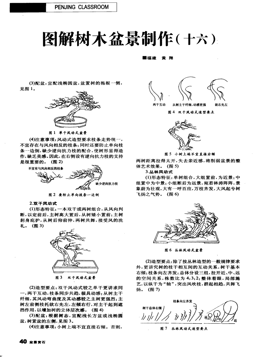 图解树木盆景制作(十六)