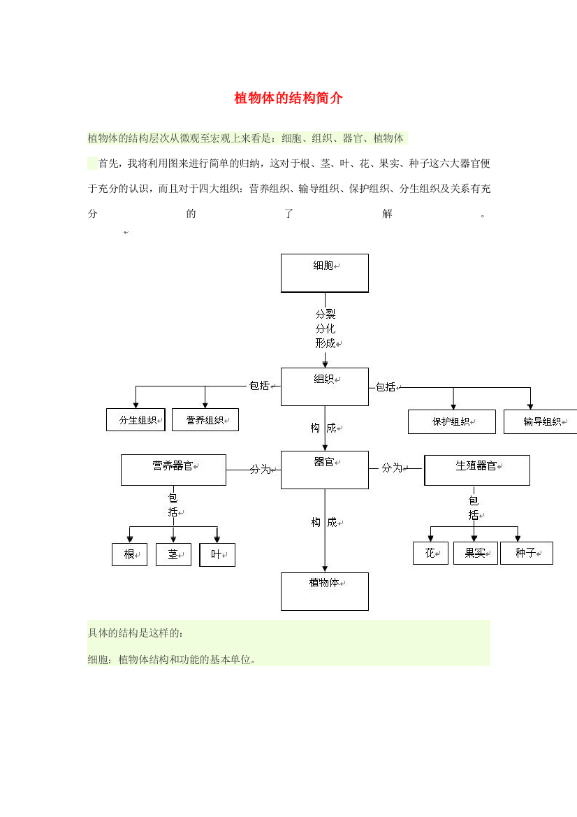 六年级科学上册