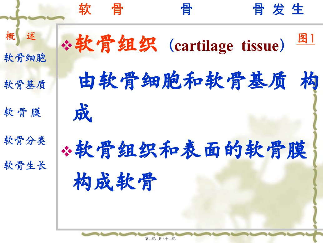 医学专题第四章骨与软骨