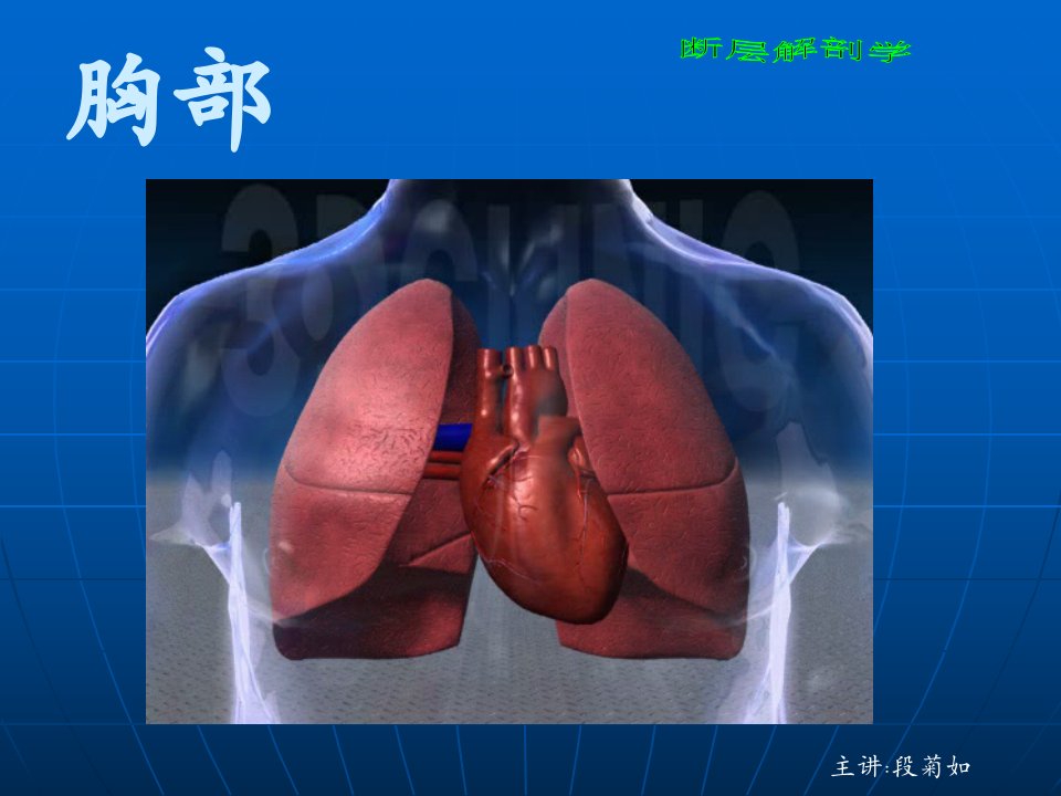 纵隔断层解剖及CT图像