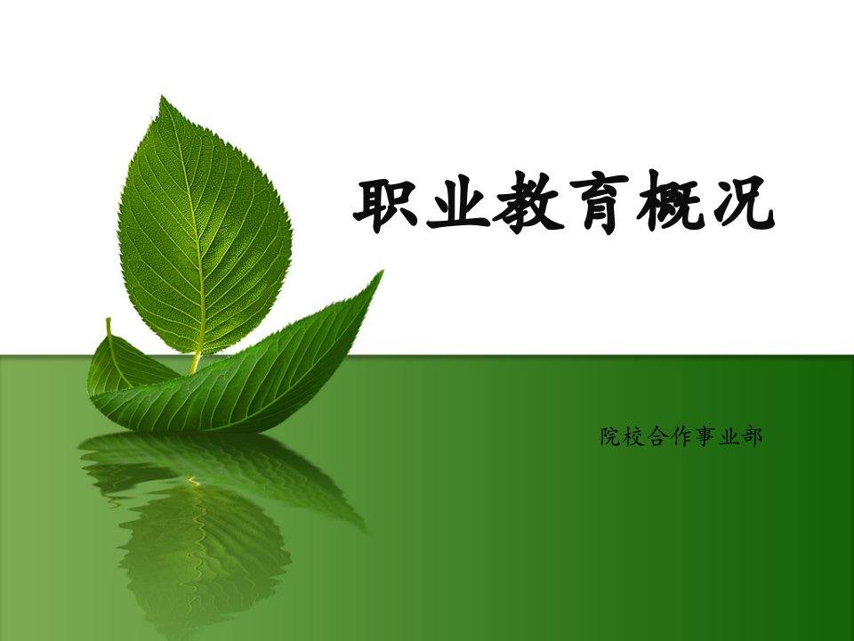 《职业教育概况》PPT课件