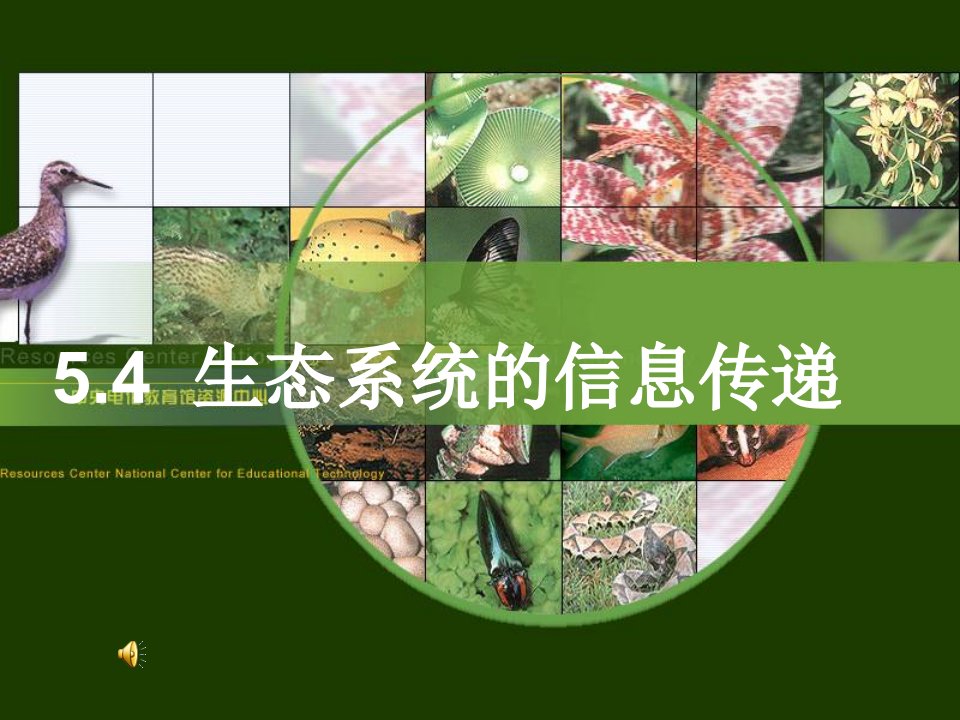 福建省厦门双十中学高中生物