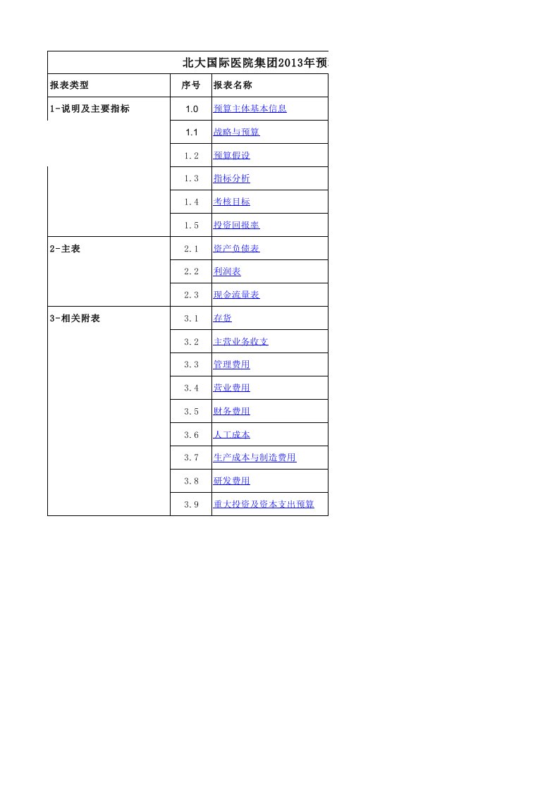 北大国际医院集团预算编制表模板（精选）