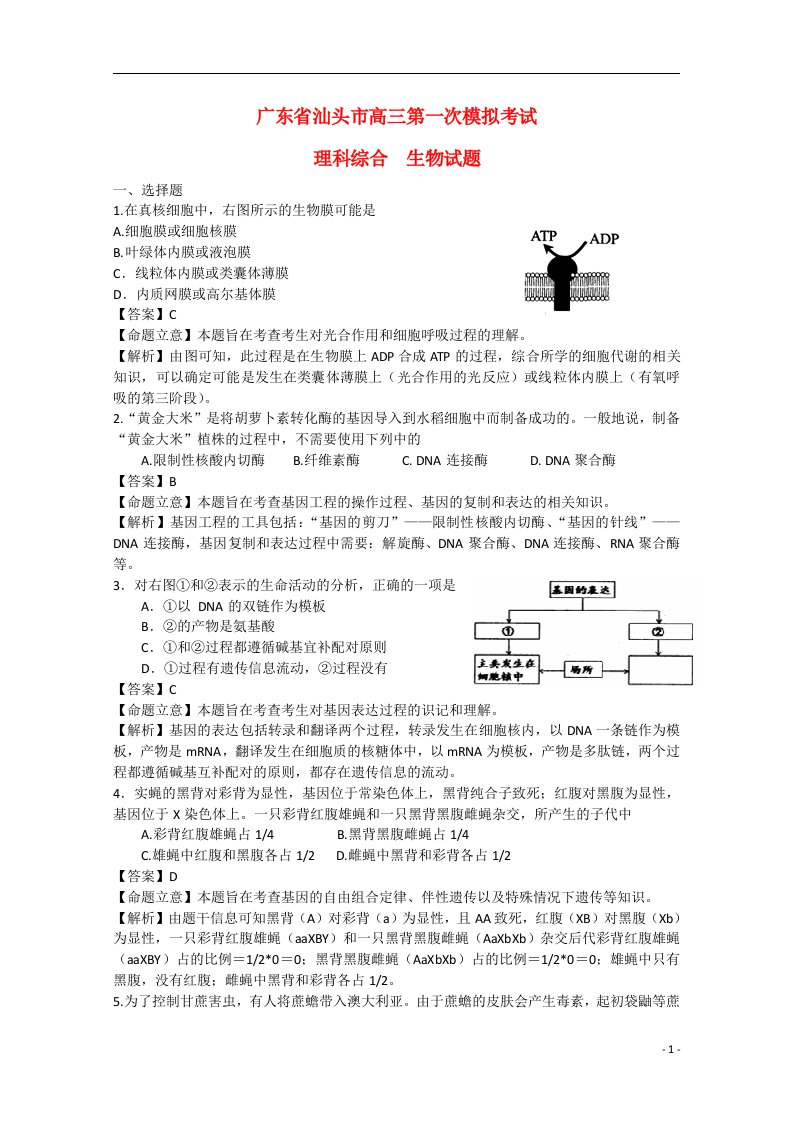 广东省汕头市高三生物第一次模拟考试试题（含解析）新人教版