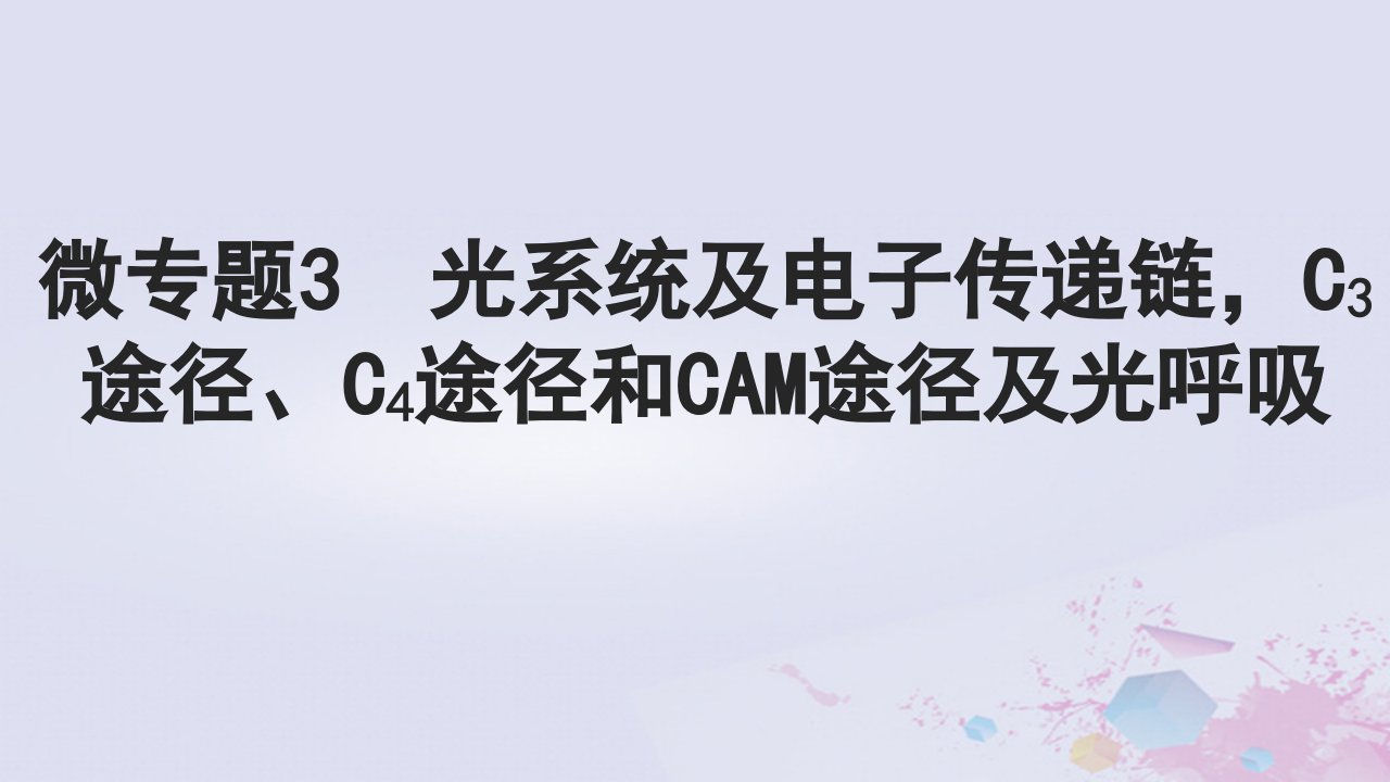 2025届高考生物一轮总复习必修1第三单元细胞的能量供应和利用微专题3光系统及电子传递链C3途径C4途径和CAM途径及光呼吸课件