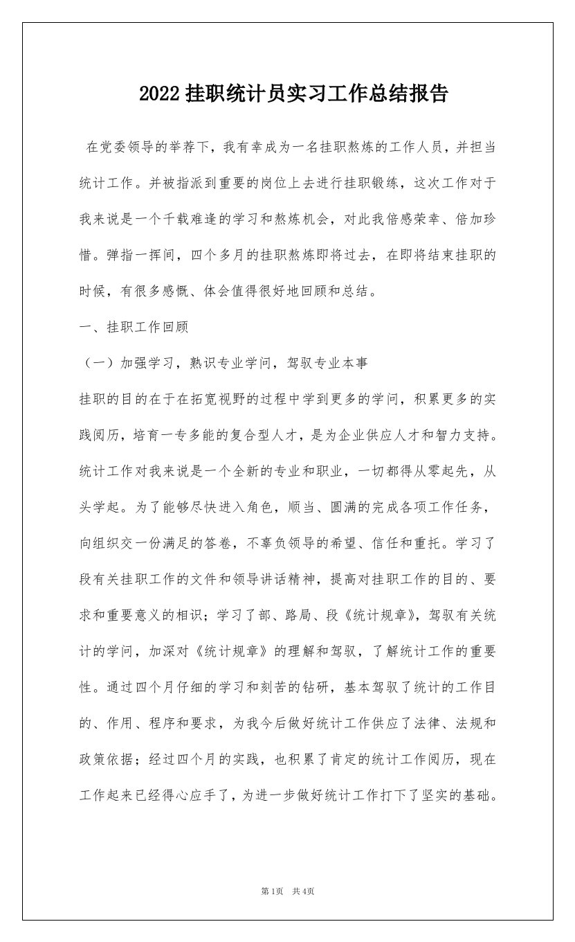 2022挂职统计员实习工作总结报告