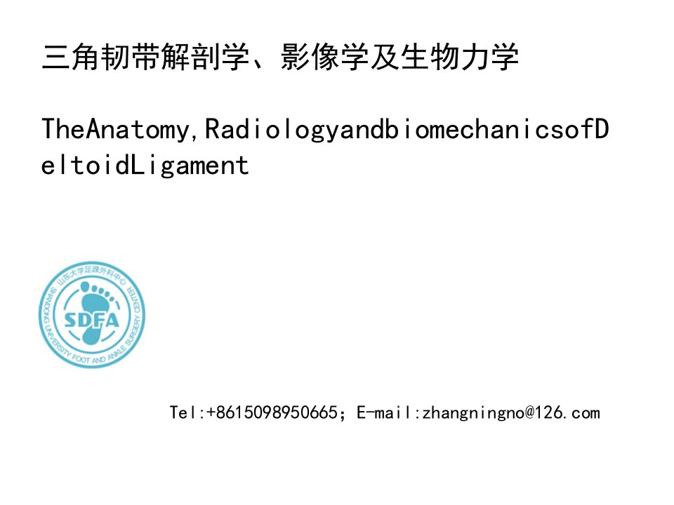 三角韧带解剖学、影像学及生物力学