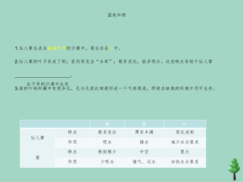 三年级科学下册