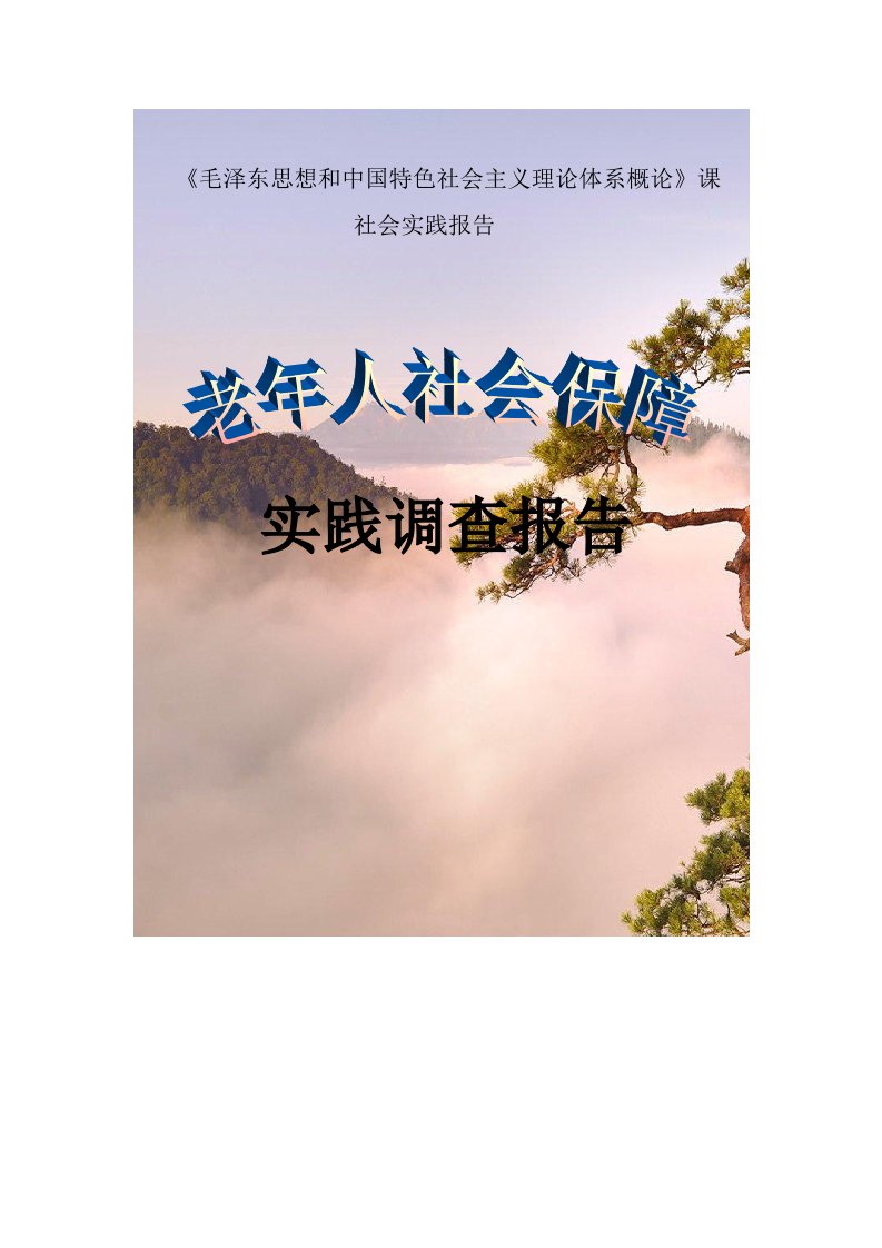 老年人社会保障问题实践调查报告