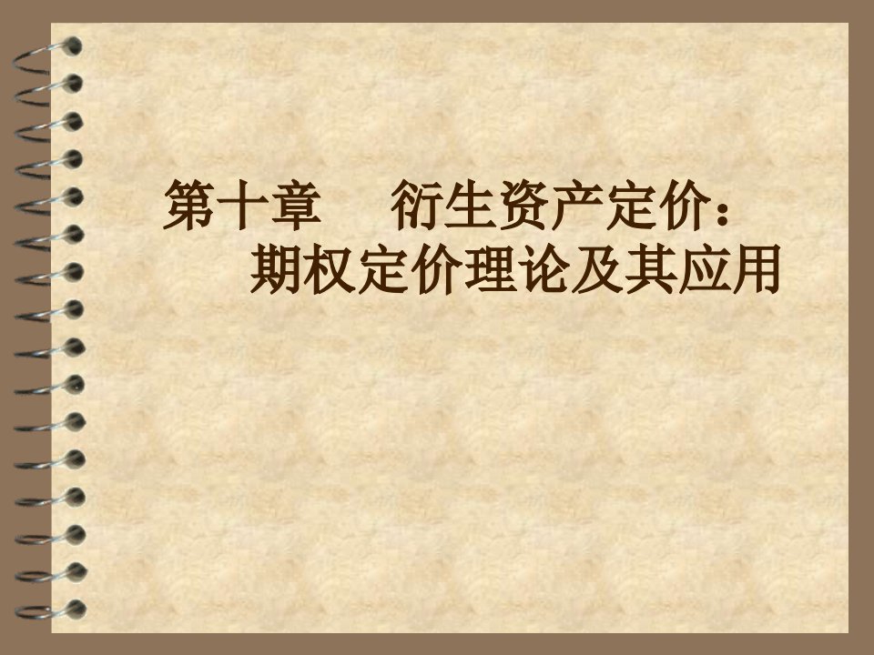 北京大学光华管理学院证券投资学课件第10章ppt课件