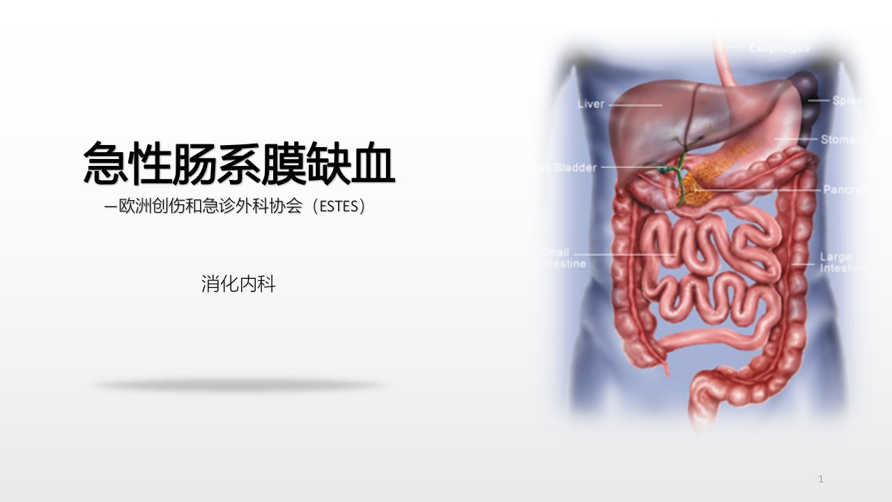 急性肠系膜缺血PPT课件