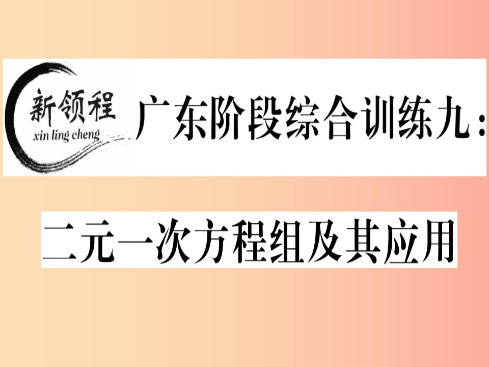 广东专版八年级数学上册阶段综合训练九二元一次方程组及其应用习题讲评课件（新版）北师大版