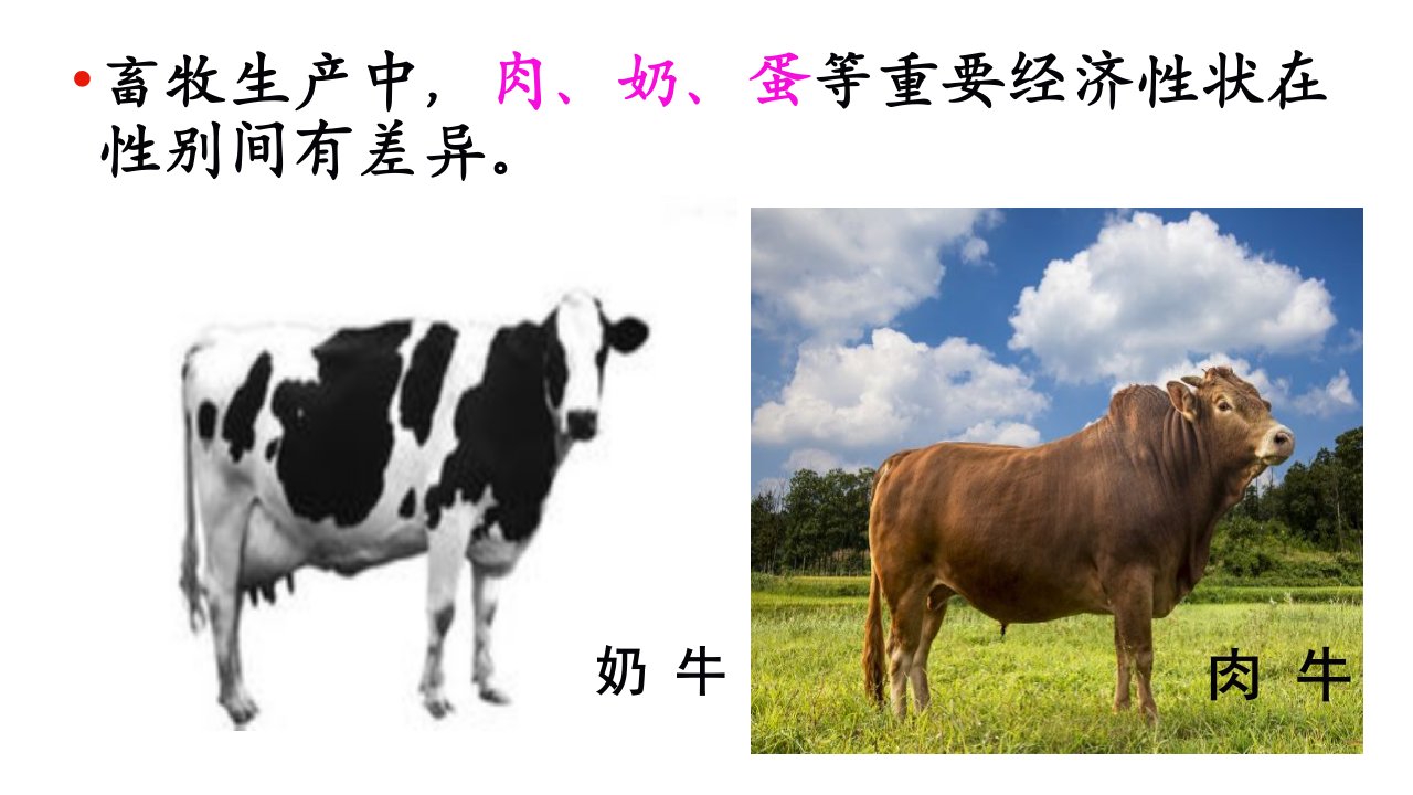 话说哺乳动物的性别控制王晗