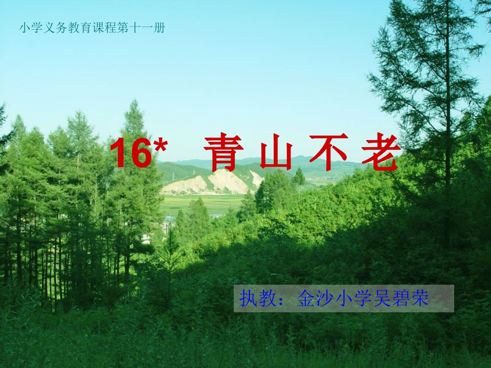 小学六上《青山不老》PPT课件