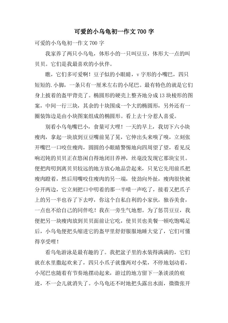 可爱的小乌龟初一作文700字