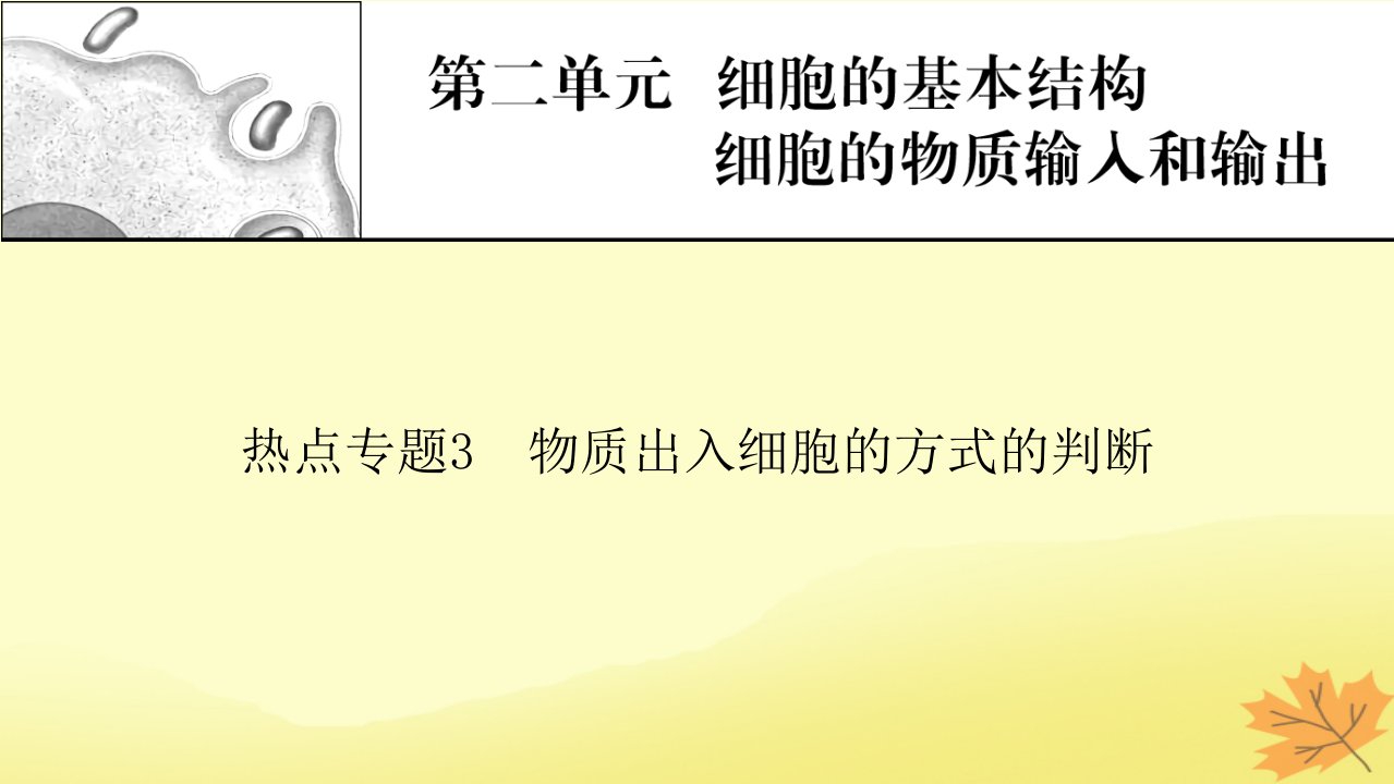 2023版高考生物一轮总复习热点专题3物质出入细胞的方式的判断课件