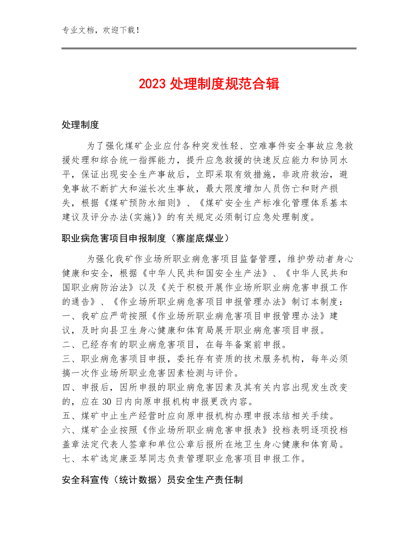 2023处理制度规范合辑