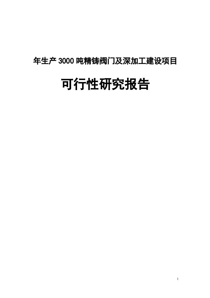 年生产3000吨精铸阀门及深加工项目可行性研究报告