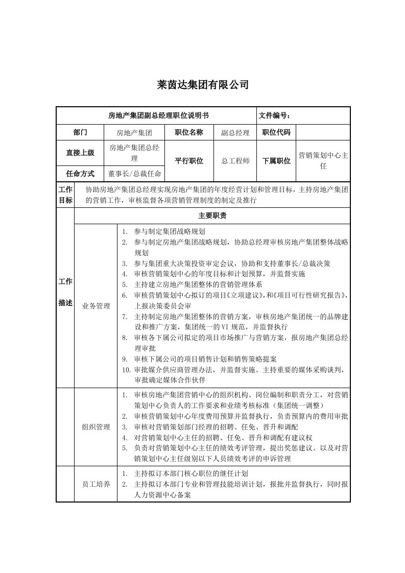 莱茵达公司房地产集团副总经理职位说明书