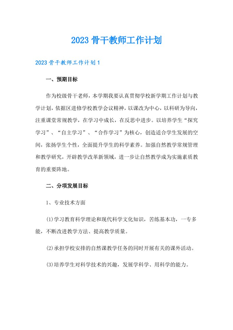 2023骨干教师工作计划