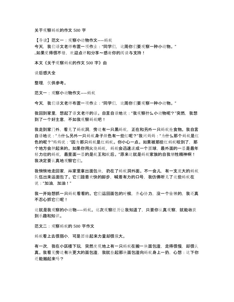 关于观察蚂蚁的作文500字