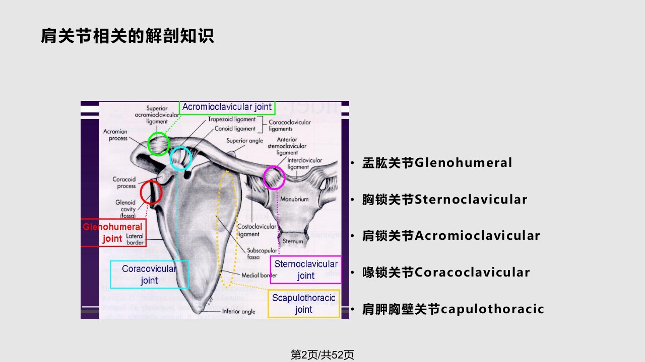 脑卒中后偏瘫肩痛的预防和治疗胡斌