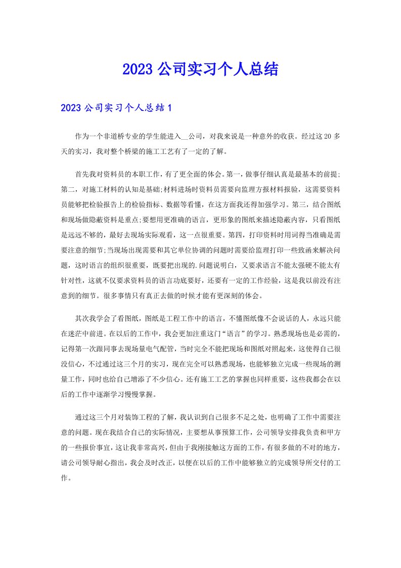 2023公司实习个人总结【精选汇编】