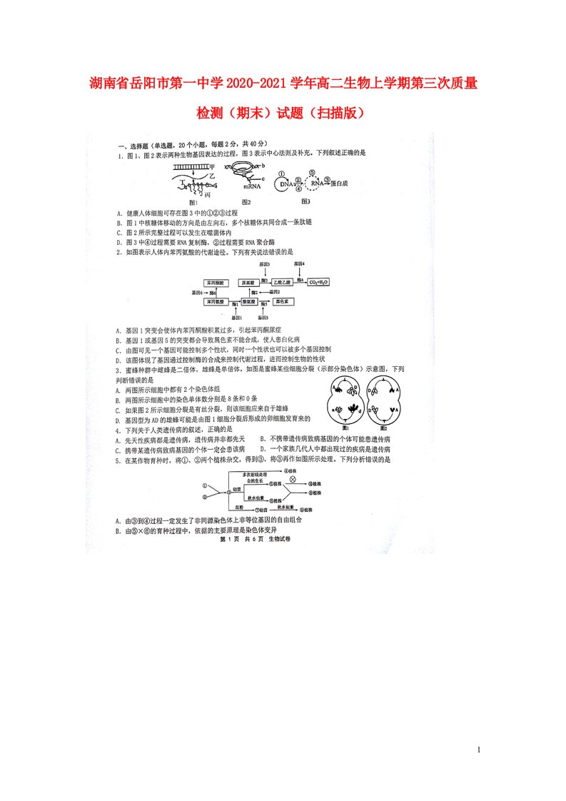 湖南省岳阳市第一中学2020_2021学年高二生物上学期第三次质量检测期末试题扫描版