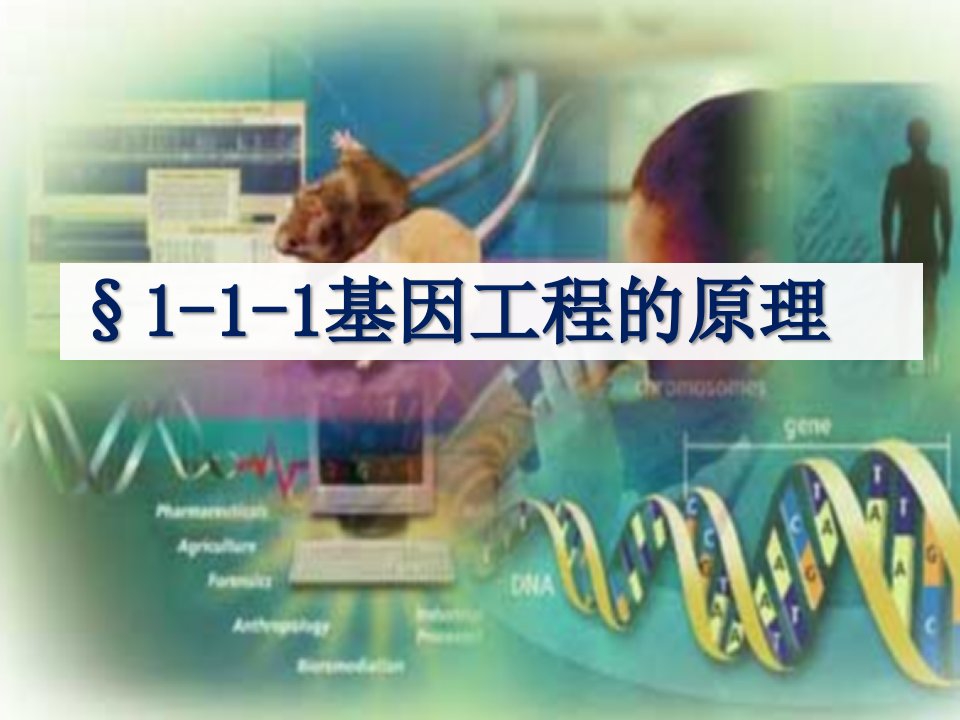 基因工程(学生版)