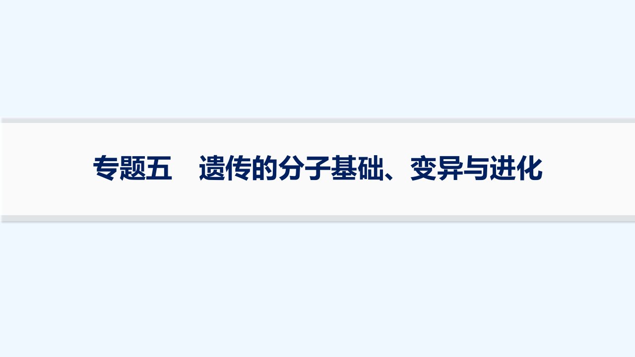 适用于新高考新教材2024版高考生物二轮复习专题突破练5遗传的分子基础变异与进化课件