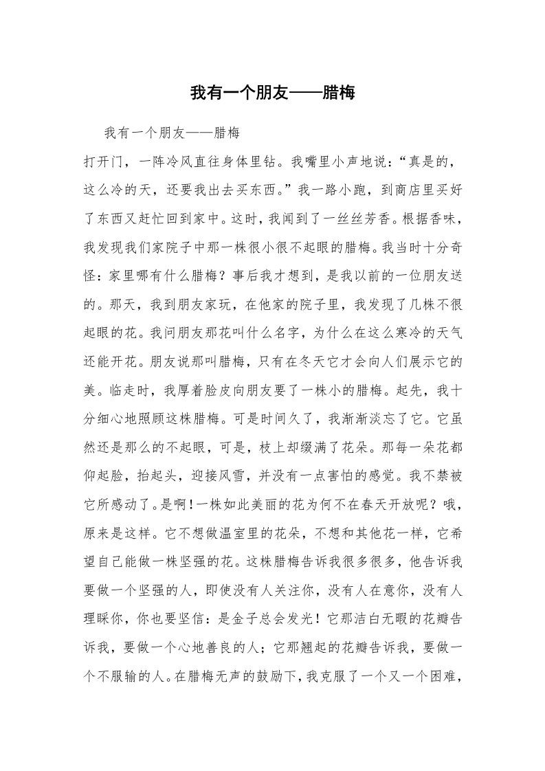 我有一个朋友——腊梅