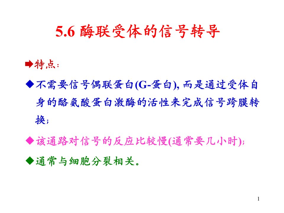 细胞生物学中文课件5b酶联受体的信号转导教程文件