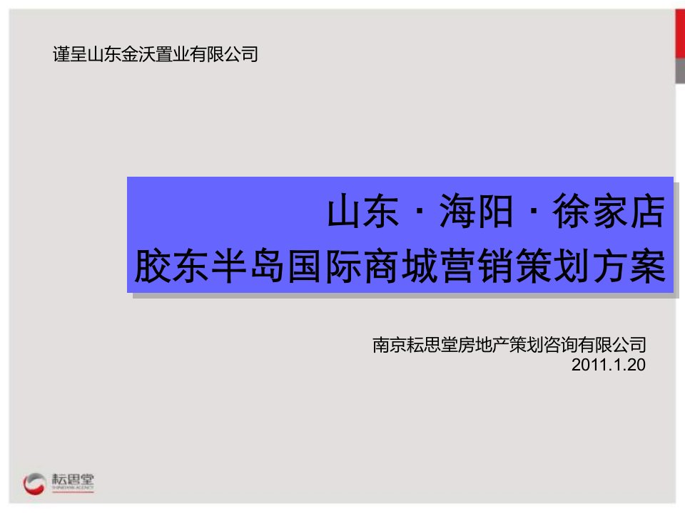 山东海阳徐家店胶东半岛国际商城营销策划方案