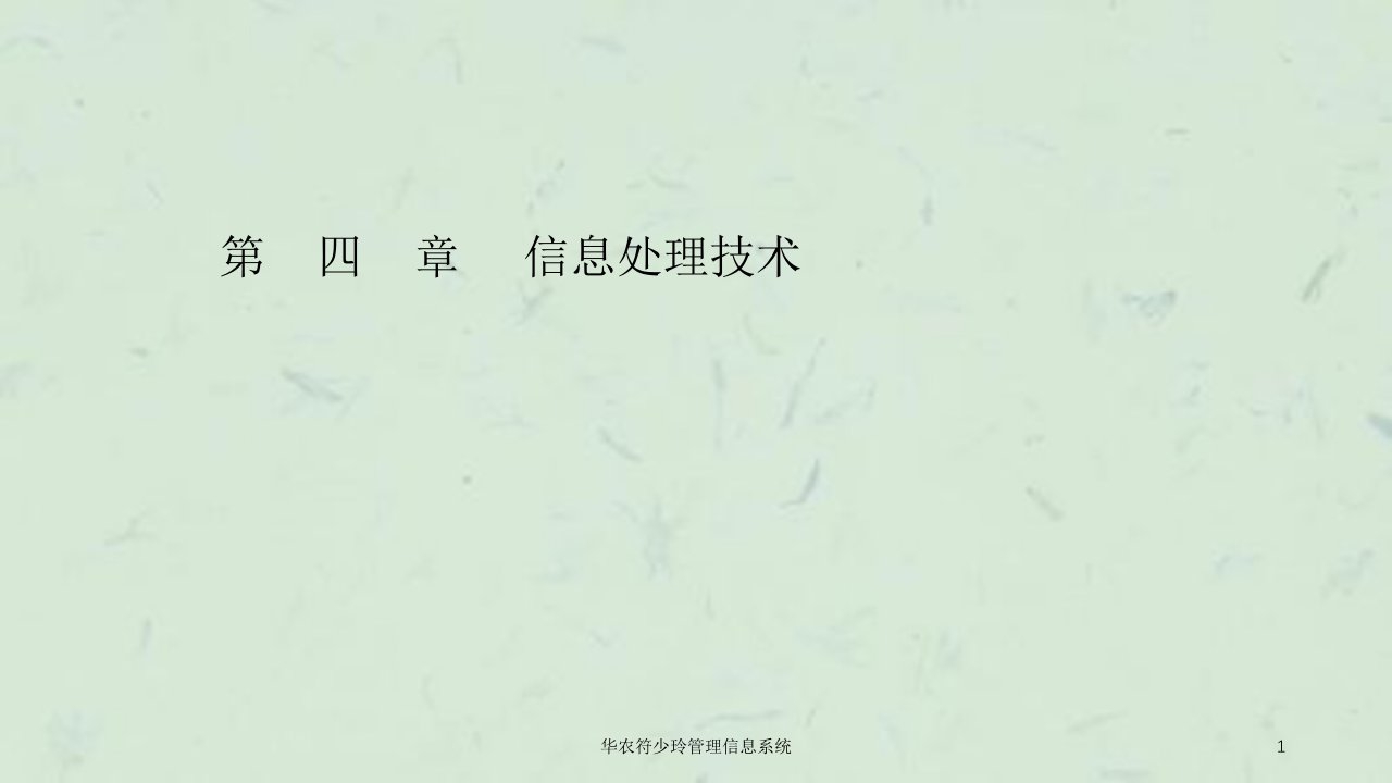 华农符少玲管理信息系统课件