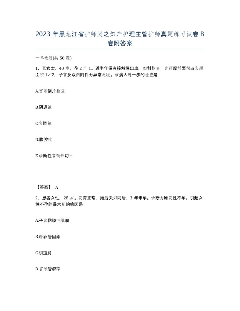 2023年黑龙江省护师类之妇产护理主管护师真题练习试卷B卷附答案