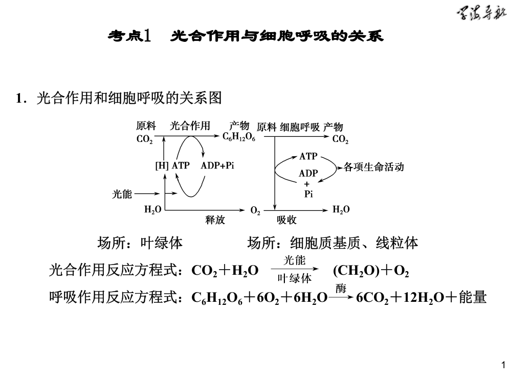 细胞的代谢光合与呼吸