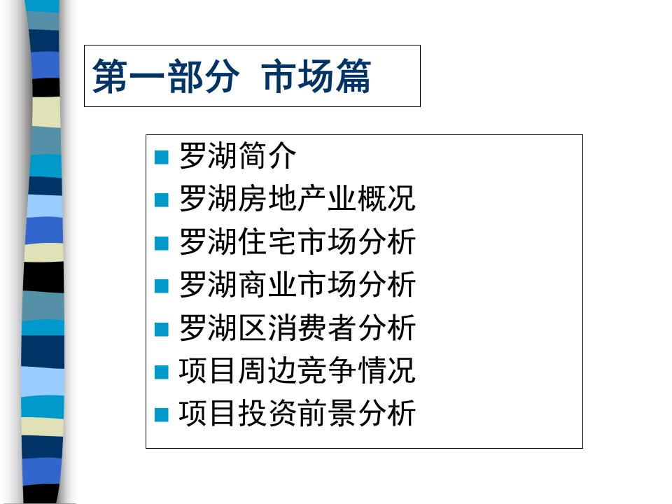 港丰项目策划报告课件