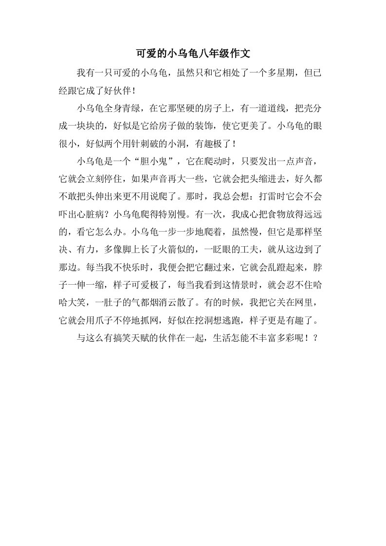 可爱的小乌龟八年级作文