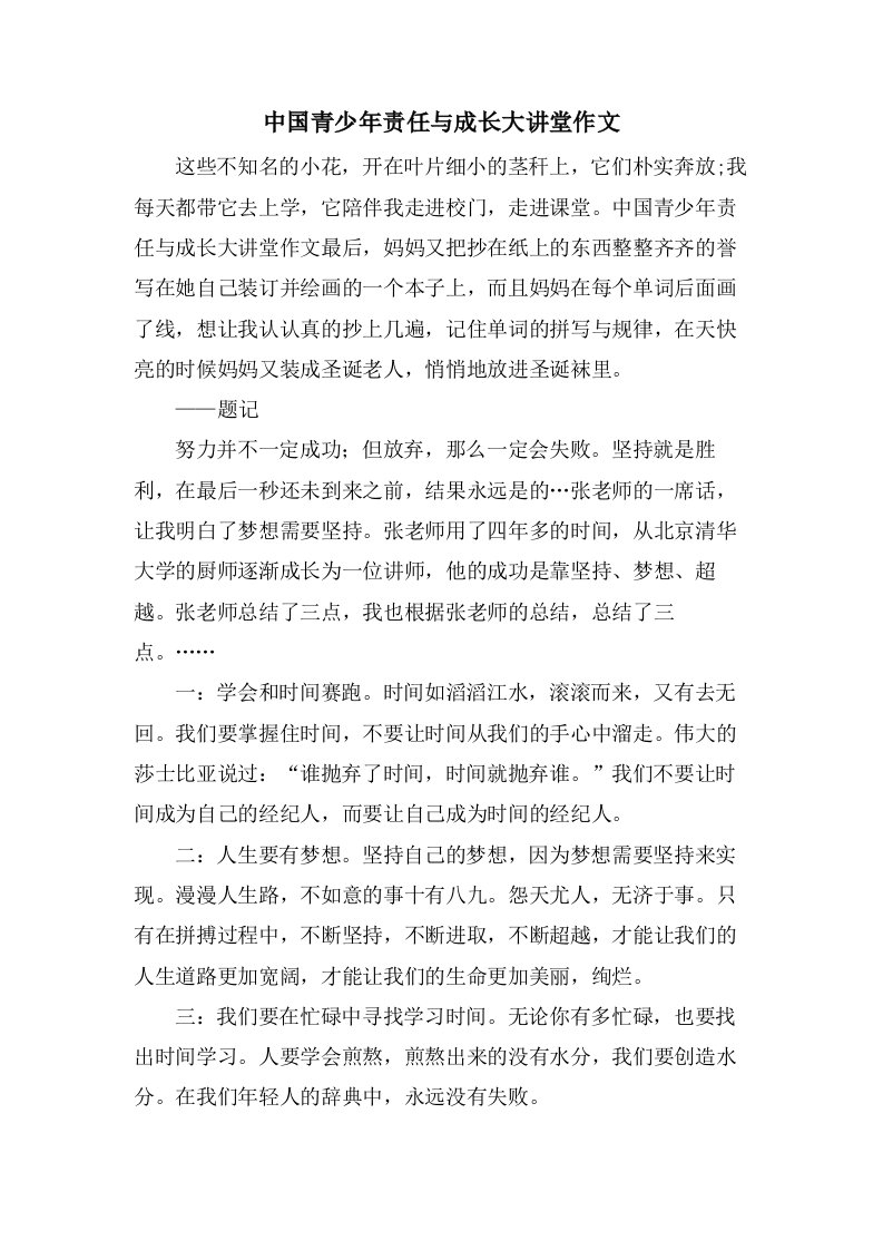 中国青少年责任与成长大讲堂作文