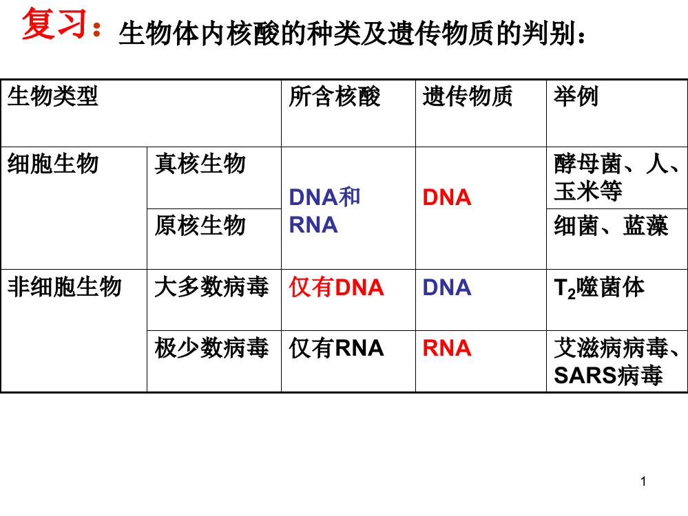 DNA结构和特点ppt课件