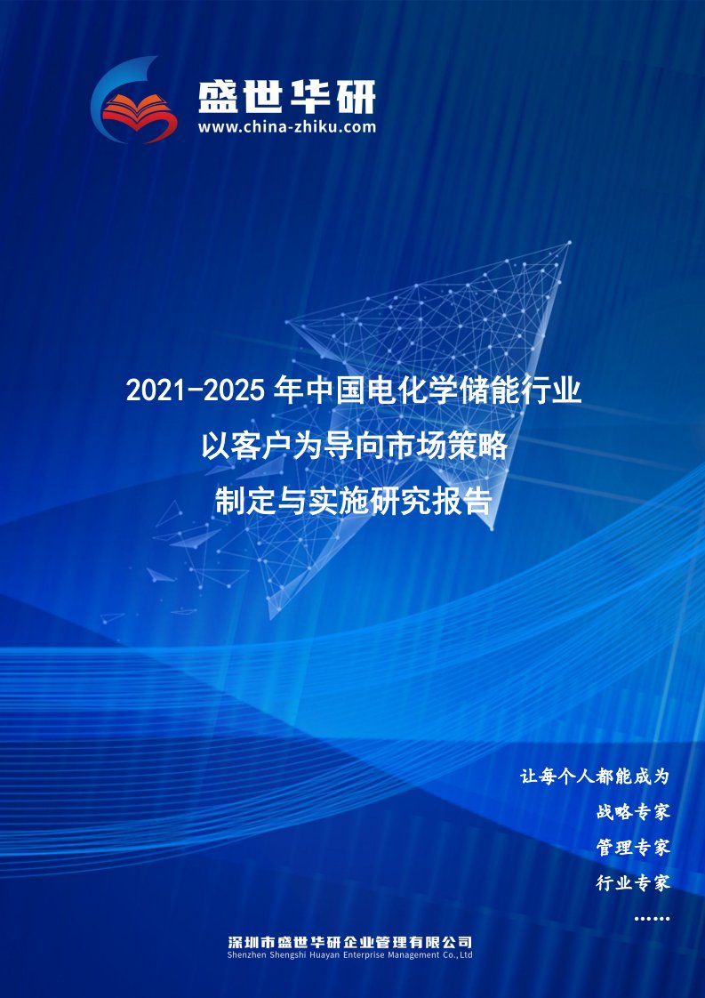 2021-2025年中国电化学储能行业以客户为导向市场策略制定与实施研究报告