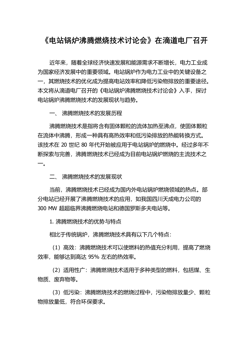 《电站锅炉沸腾燃烧技术讨论会》在滴道电厂召开