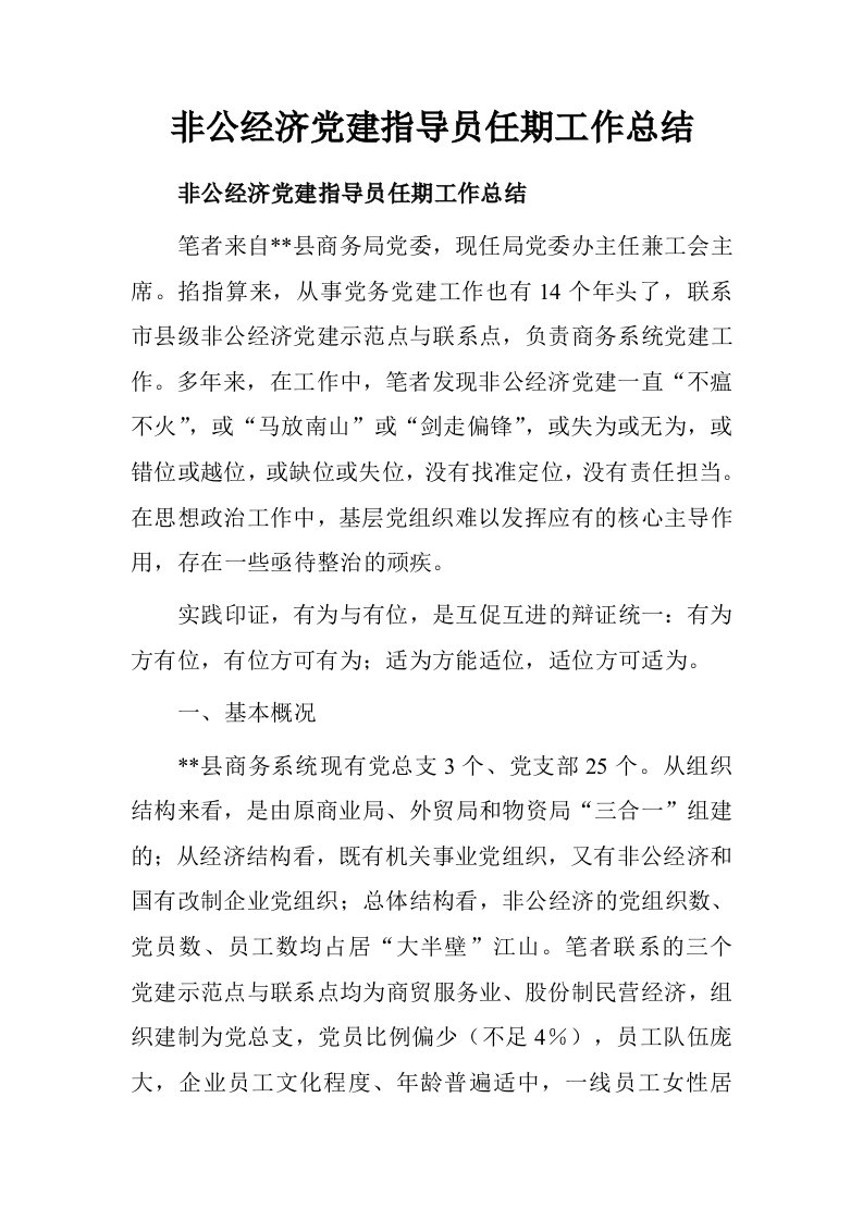 非公经济党建指导员任期工作总结.doc